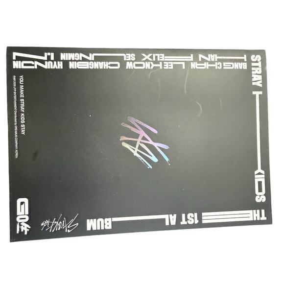 Stray Kids GO 2020 Book Photos & CD Box Set Everywhere Around the World Complete - Picture 4 of 6